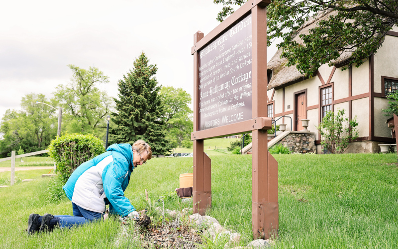 Brenda Deines, also of Springs, tends to the flower bed below the welcome / informational sign east of Anne Hathaway Cottage.