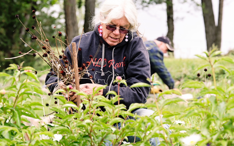 Cindy Eilers of Wessington Springs worked on clearing out debris from the flowerbed before settling in to plant. Eilers spent the entire afternoon helping alongside other volunteers in order to make Shakespeare Garden the show-stopping destination for which it’s known near and far.