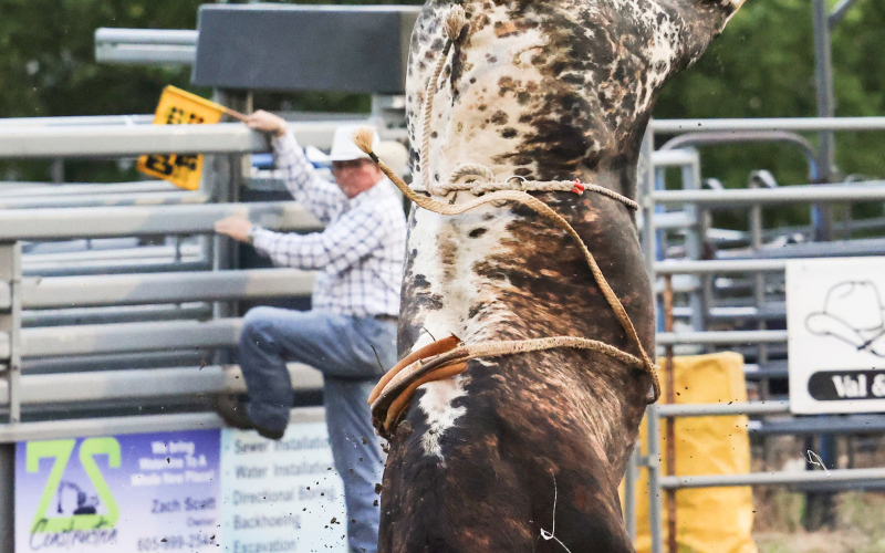Caught mid-handstand, the final bucking bull performance of the night is a crowd favorite.