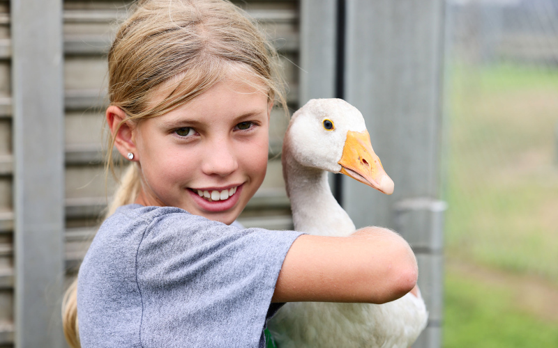 Crawleigh Reiner and goose.