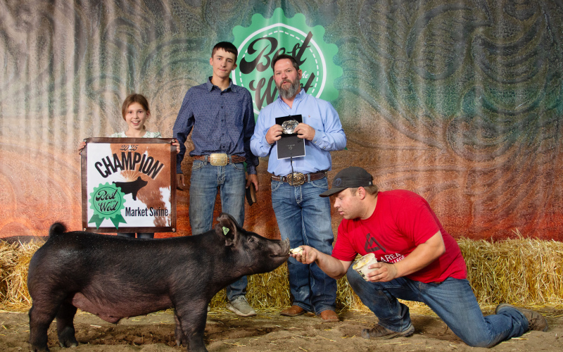 Teagan Scheel, Market Swine Champion.