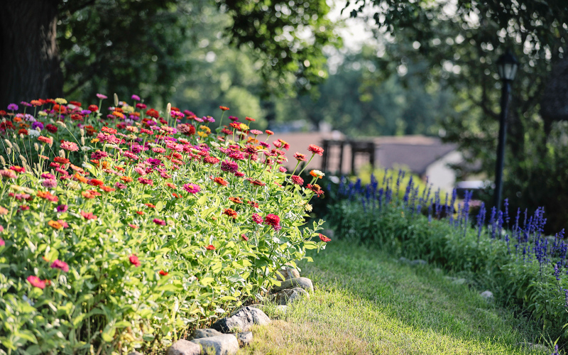Annual List of Flowerbed Sponsors Posted at Anne Hathaway Cottage