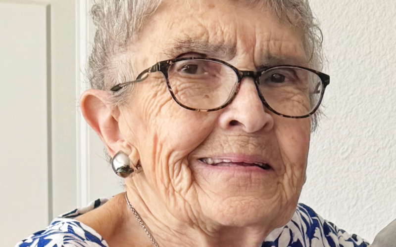PATRICIA ANN CROW NIEMEYER