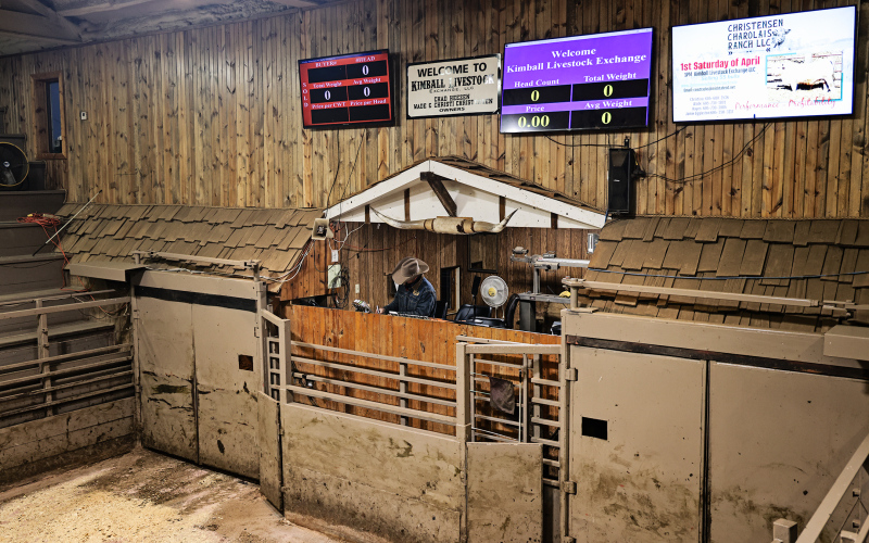 Arriving hours before the sale starts on Tuesday, Chad Heezen prepares for a busy day.