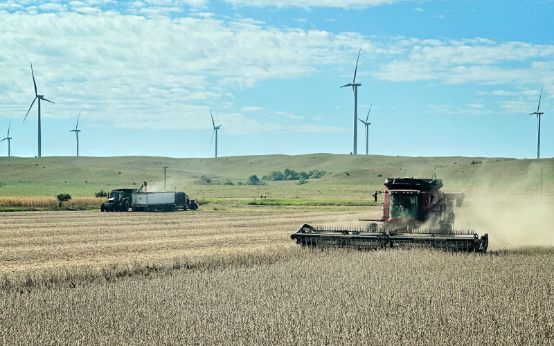 A combine moves steadily as harvest season continues across the region. Local officials urge motorists to slow down, give farm equipment plenty of space, and avoid passing at intersections to help keep everyone safe during the busy harvest. (PHOTO / JASON WEBER)