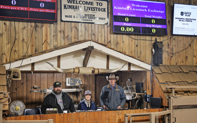 Wade Christensen, Christy Christensen and Chad Heezen prepare on the block at Kimball Livestock Exchange ahead of Tuesday’s cattle sale on Oct. 28, 2025. The team’s hands-on approach and dedication to producers set the tone for each market day. (KRISTI HINE / TRUE DAKOTAN )