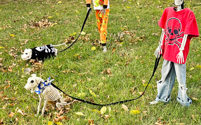 Morty’s niece and nephew, Scarilyn and Barnabas and their pets Loki and Lugosi in Janet Lowe's front yard.