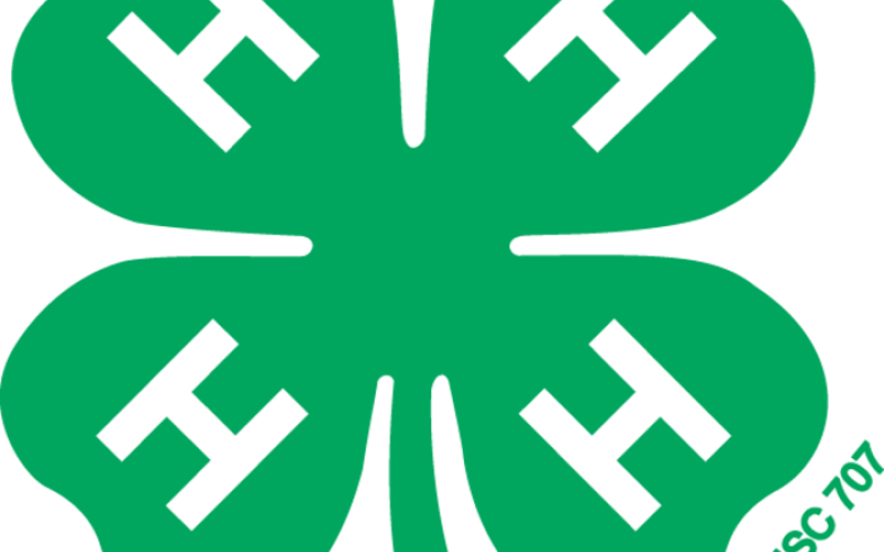 Jerauld-Buffalo 4-H Hosts Silent Auction Fundraiser