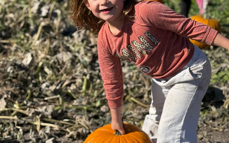 Harley Eichstadt finding her “just right” pumpkin.