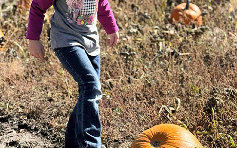 Harper Johnsen found her pumpkin.