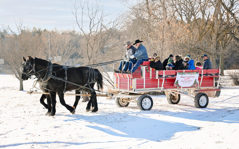 A horse-drawn wagon makes its way through a snow-covered city park during last year’s event. The popular tradition returns for the 2025 Winter Magic in the Park kick off. (TRUE DAKOTAN FILE PHOTO)