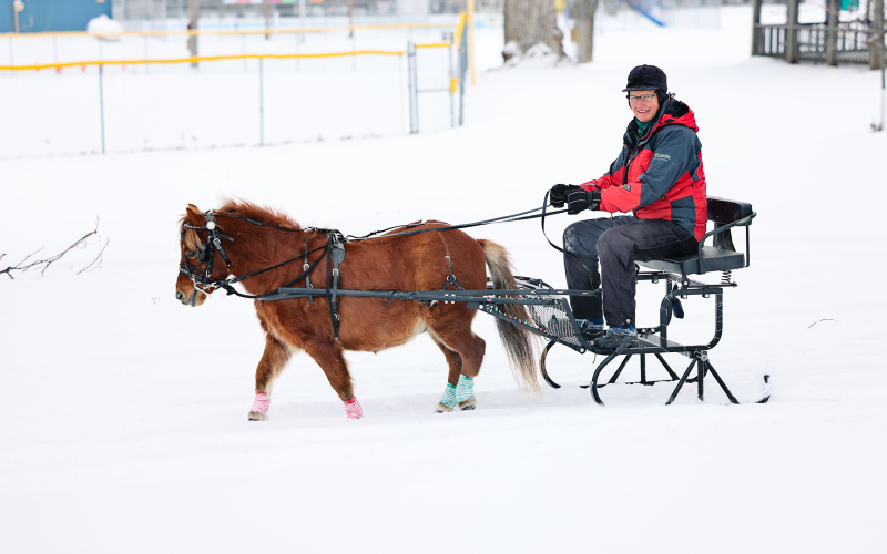 Kelli Shryock and Nitro warm up before giving sleigh rides around the park.