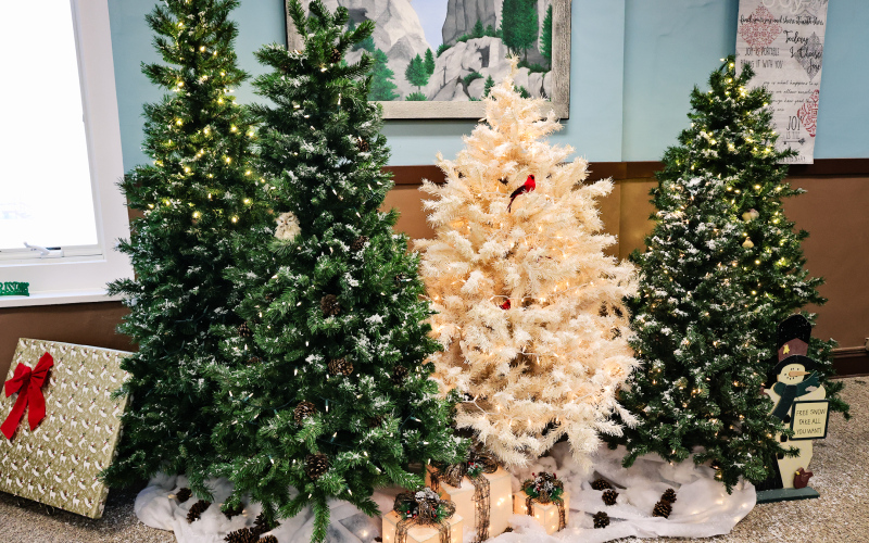 A wide variety of decorated trees, wreaths, table settings and other holiday displays transformed the Jerauld County Courthouse into a festive space for the whole community to enjoy.