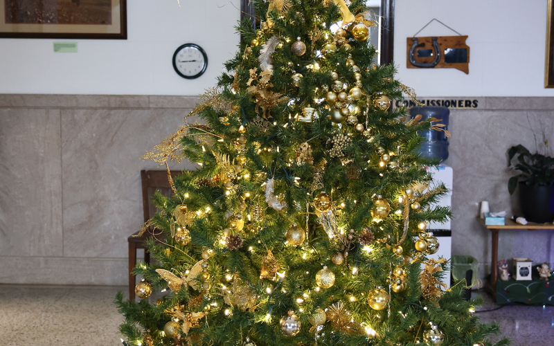 A wide variety of decorated trees, wreaths, table settings and other holiday displays transformed the Jerauld County Courthouse into a festive space for the whole community to enjoy.