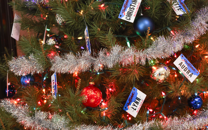 The Treasurer tree features South Dakota license plates adorned with all the names of county employees.
