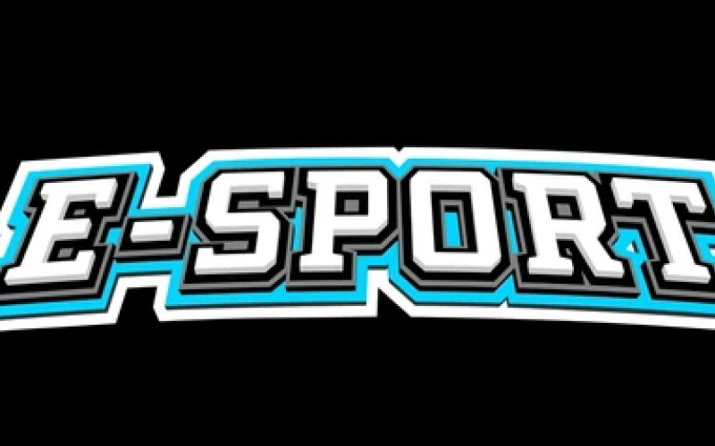 Wolsey-Wessington eSports eye state tournament berths