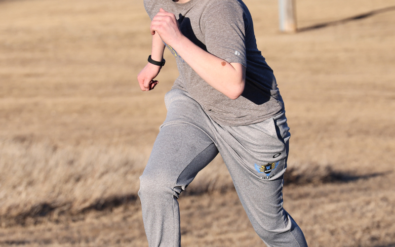 Warhawks Put in the Work, Eyes Set on State
