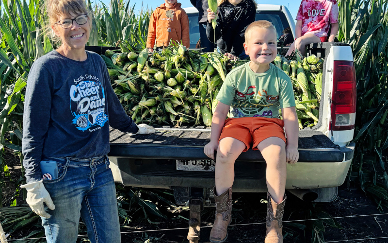 Students join local producer Suzanne Hamilton in harvesting corn, part of the hands-on learning behind Wolsey-Wessington’s growing farm-to-table program. CLOCKWISE FROM LEFT: Suzanne Hamilton, Oliver Urban, Simon Schnetzer, Eva Urban, Kenzy Schnetzer, Logan Schnetzer. (COURTESY PHOTO)