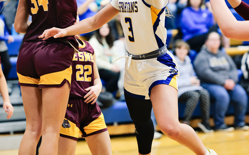 Londyn Mikkelson during Region 2B action against De Smet.