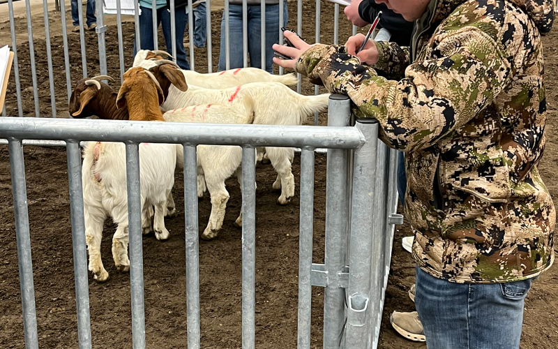 Hundreds of FFA Students Gather in Huron for Heartland Classic Competition