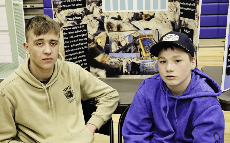 WSHS/MS Local Science Fair Results