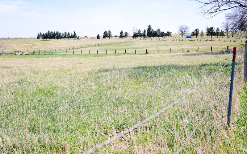 A portion of the proposed site for a cryptocurrency mining facility north of Prospect Hill Cemetery is shown. The project will not move forward after power capacity limitations were identified.