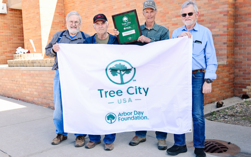 Tree City USA Committee Invites Community to Explore Local Trees