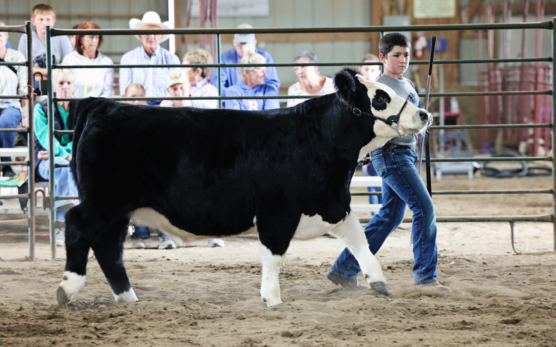 4-Hers Shine During  Jerauld-Buffalo Achievement Days  Jerauld-Buffalo 4-Hers like Dawson Bultsma, pictured, showed their very best at last week’s Achievement Days.