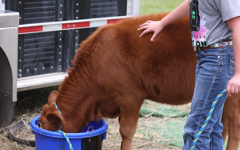 Jerauld-Buffalo 4-H Achievement Days