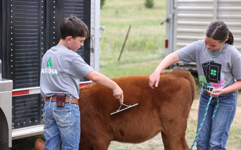 Jerauld-Buffalo 4-H Achievement Days