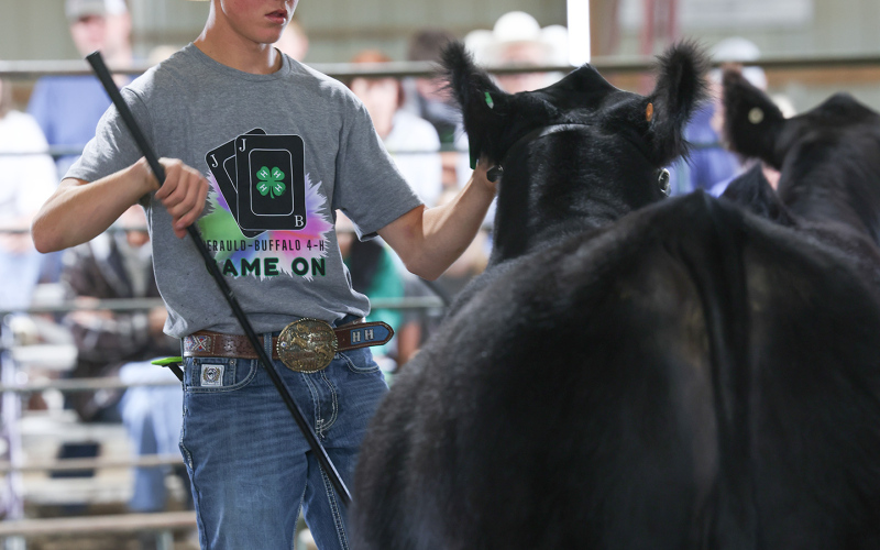 Jerauld-Buffalo 4-H Achievement Days