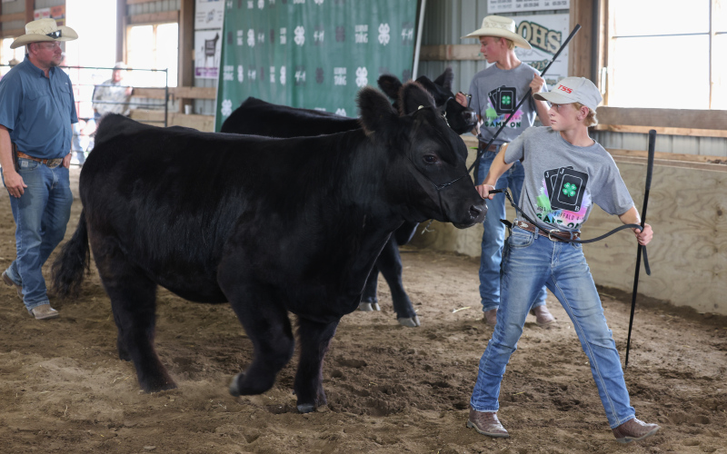 Jerauld-Buffalo 4-H Achievement Days