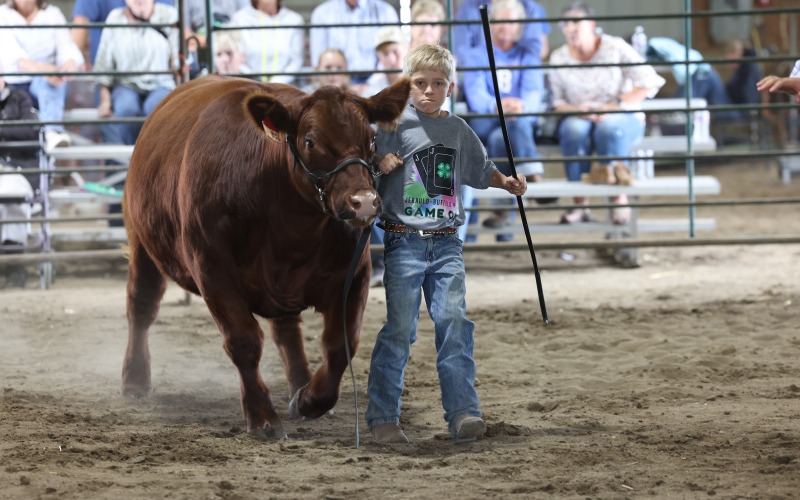 Jerauld-Buffalo 4-H Achievement Days