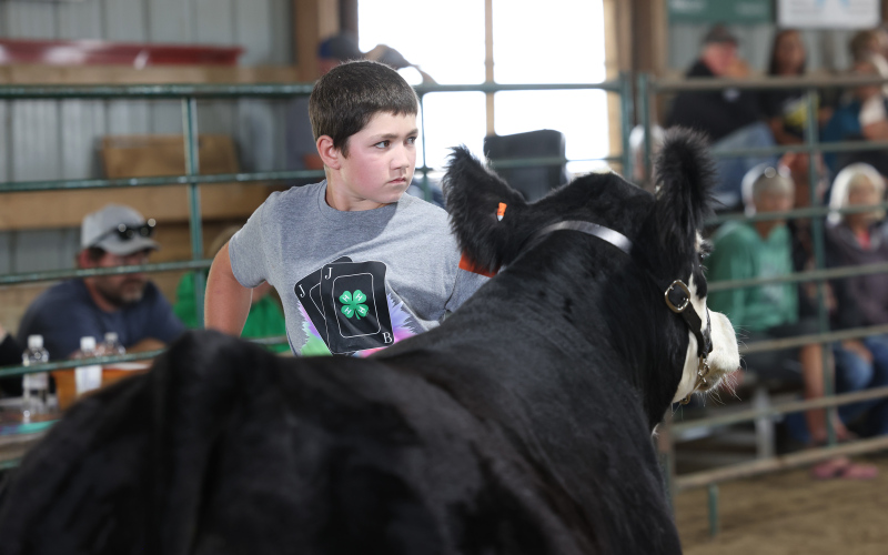 Jerauld-Buffalo 4-H Achievement Days