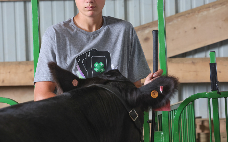Jerauld-Buffalo 4-H Achievement Days