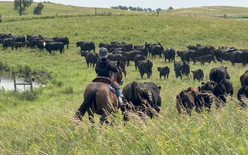 (PHOTO COURTESY SDFU)