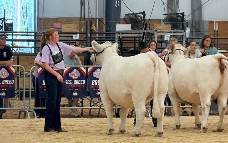 Brookyn Caffee in action at the South Dakota State Fair Sept. 2-7 in Huron, SD. (PHOTO COURTESY ERIN YOST)
