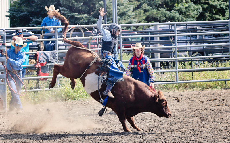 Young cowboys and cowgirls take on the rough stock