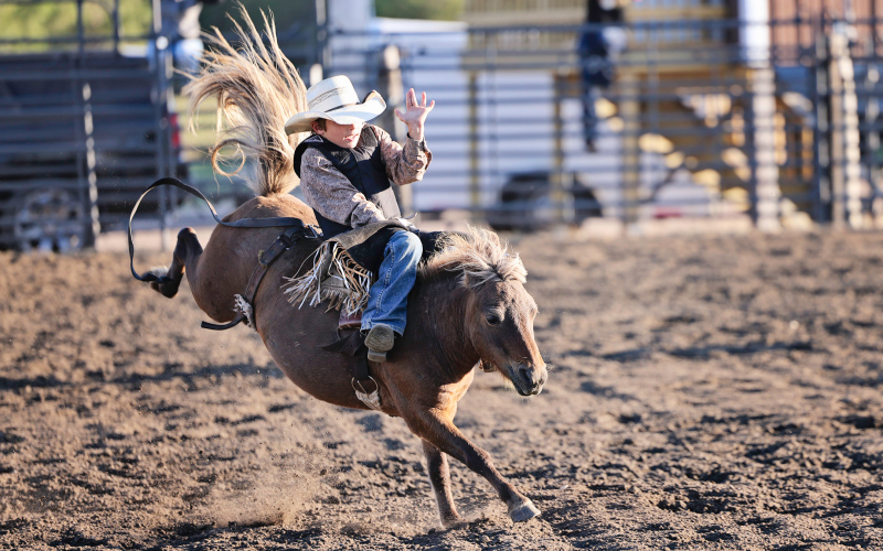 In last year’s Bad River Youth Rough Stock Rodeo held in Wessington Springs, Tatyn Hins competed in the Bareback, Saddle Bronc and Bull riding events in the 6-8 age category. The event drew over 500 youth to the Jerauld County 4-H grounds. This year’s event is scheduled for Sept. 13, 2026. (TRUE DAKOTAN FILE PHOTO)