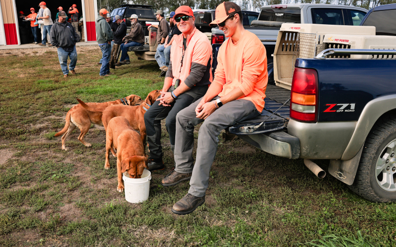MAINTAINING HYDRATION IN BIRD DOGS