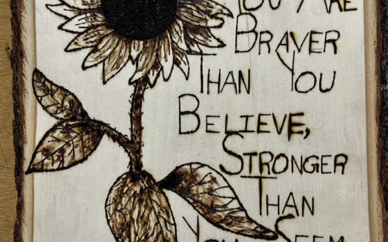 From the Halls of WSHS: Artist’s Corner