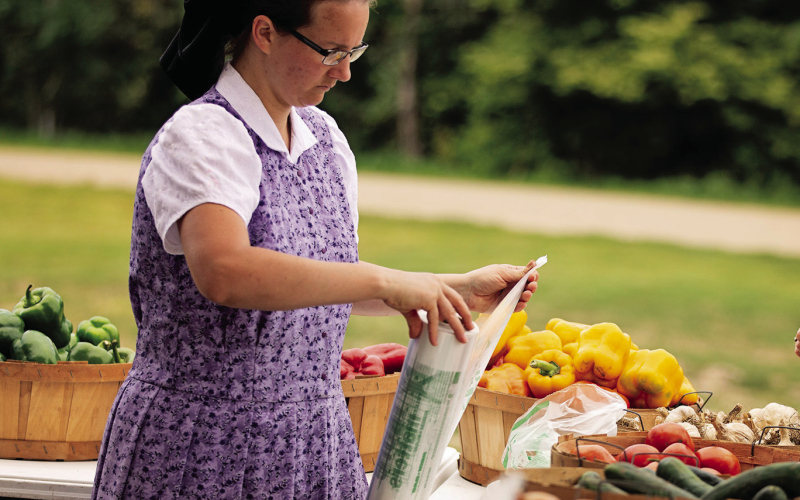 Farmers Market Returns for the Season