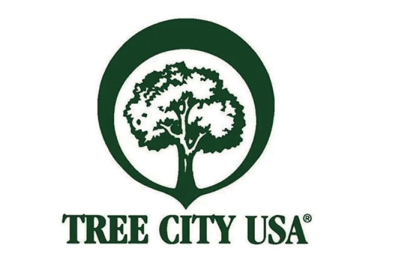 Wessington Springs Designated as a Tree City USA