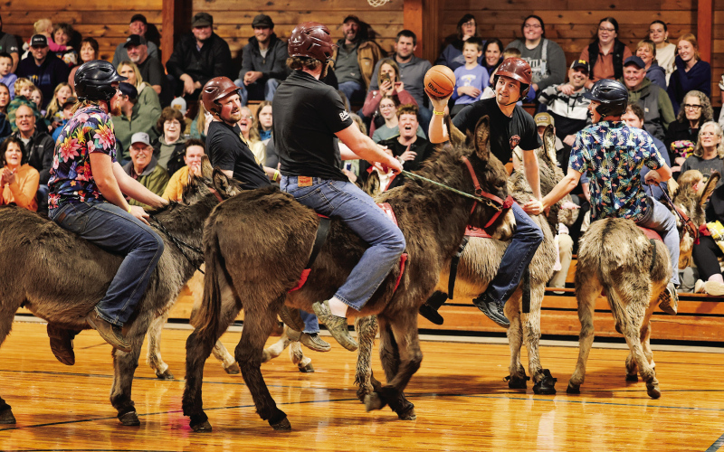 Donkeyball Delivers for a Cause