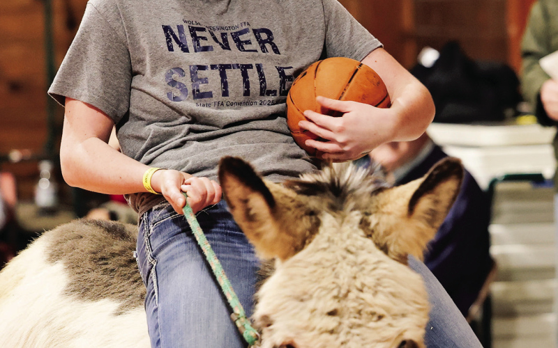 Donkeyball Delivers for a Cause