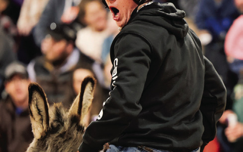 Donkeyball Delivers for a Cause