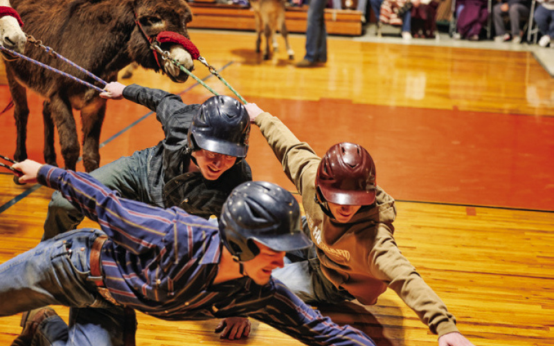 Donkeyball Delivers for a Cause