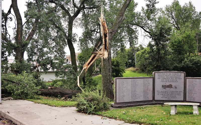 Powerful Storms Leave Their Mark Across the Region