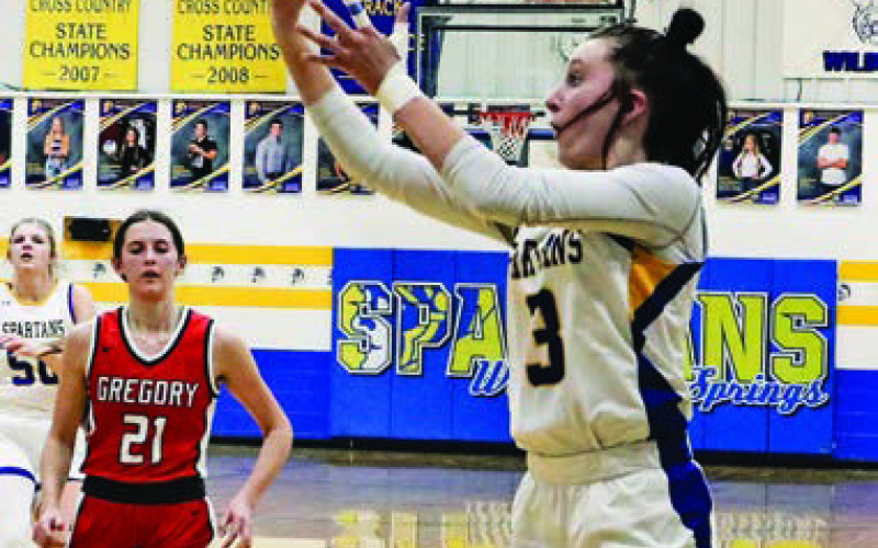Three WSHS Senior Girls Earn 281 All Conference Honors