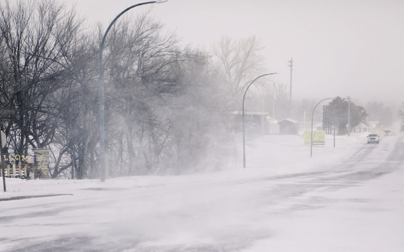 Happy Spring?